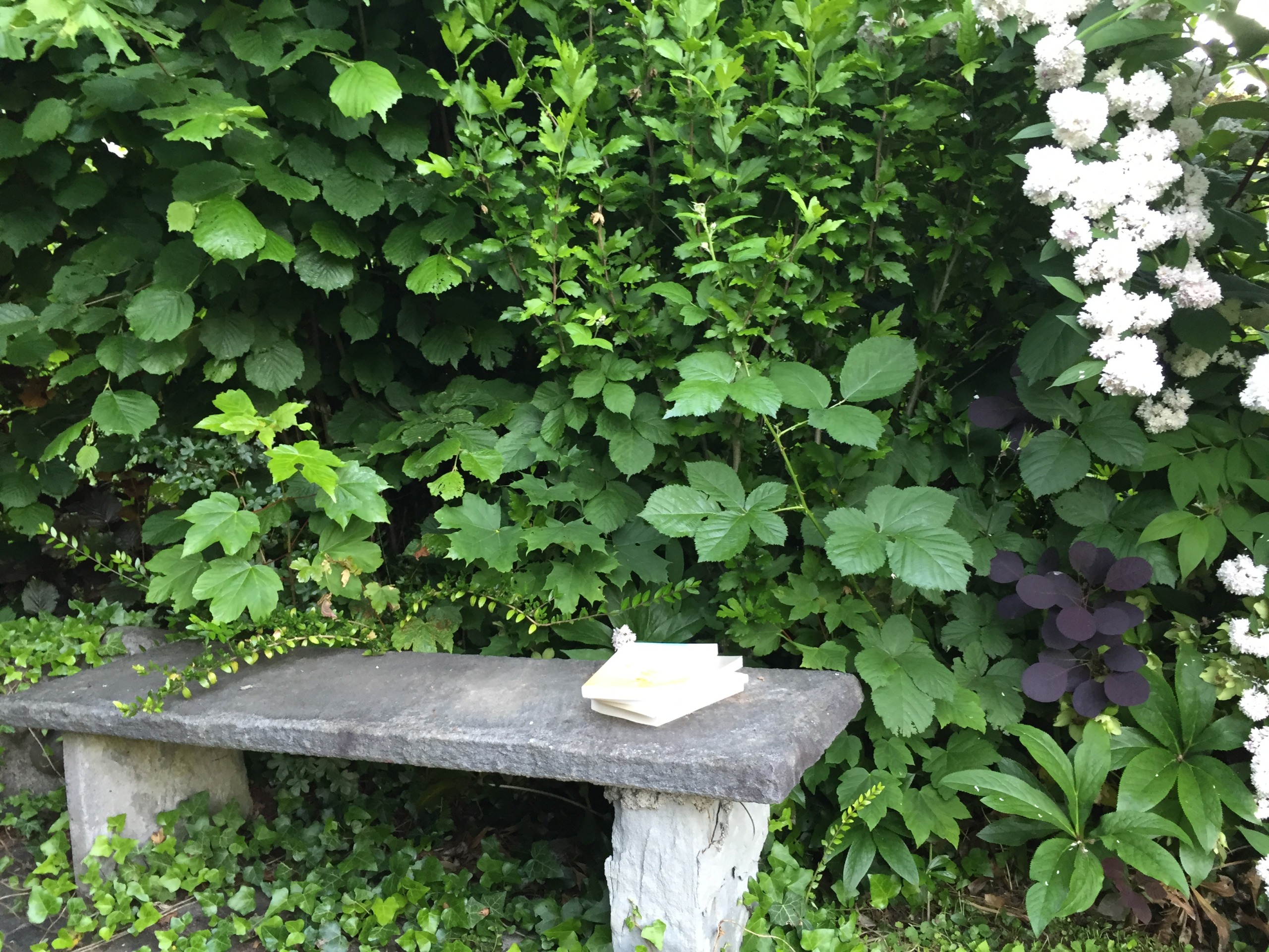 Oase mitten in Zürich