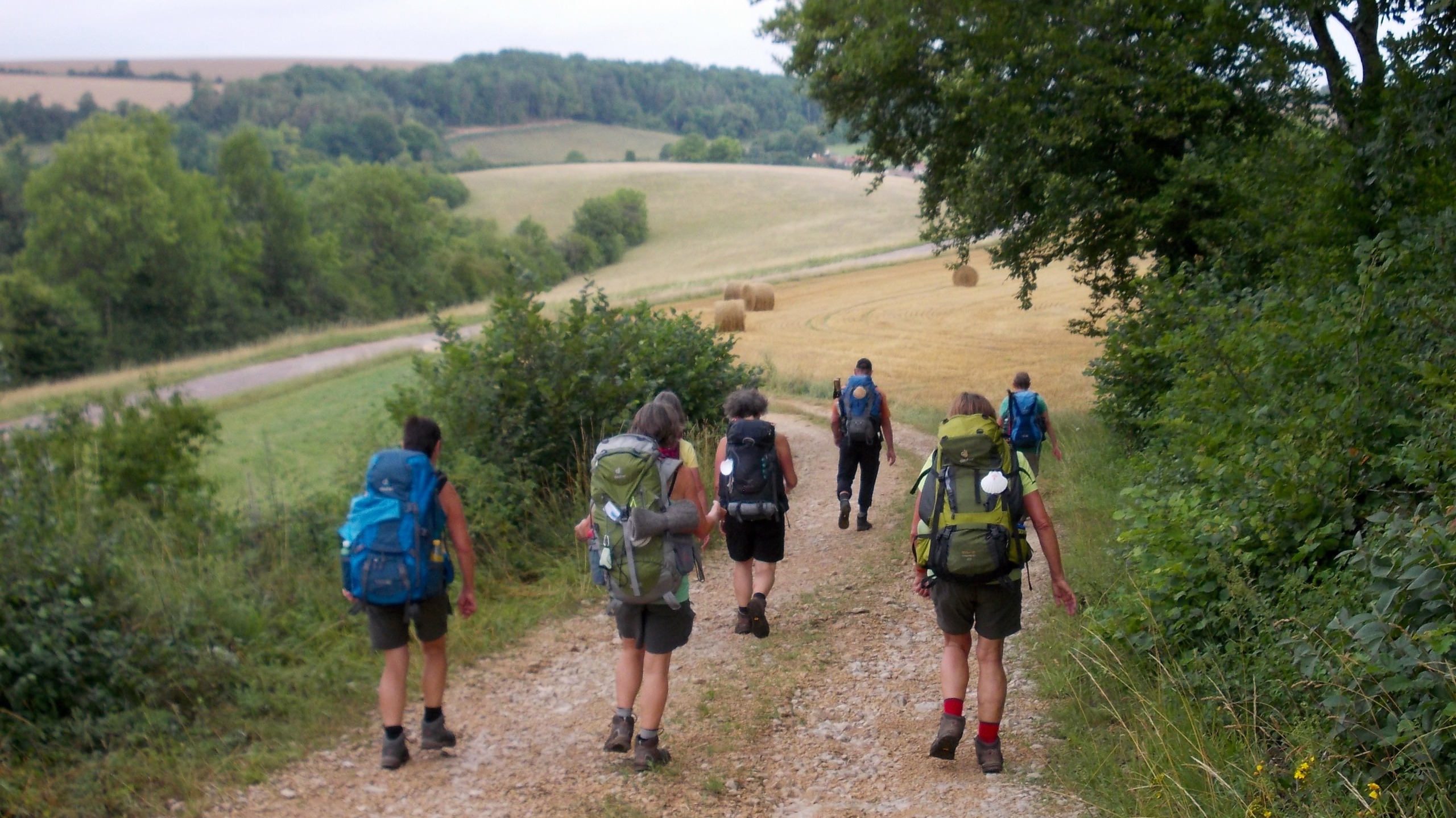 Pilgern auf dem Hochrheinweg von Waldshut nach Laufenburg