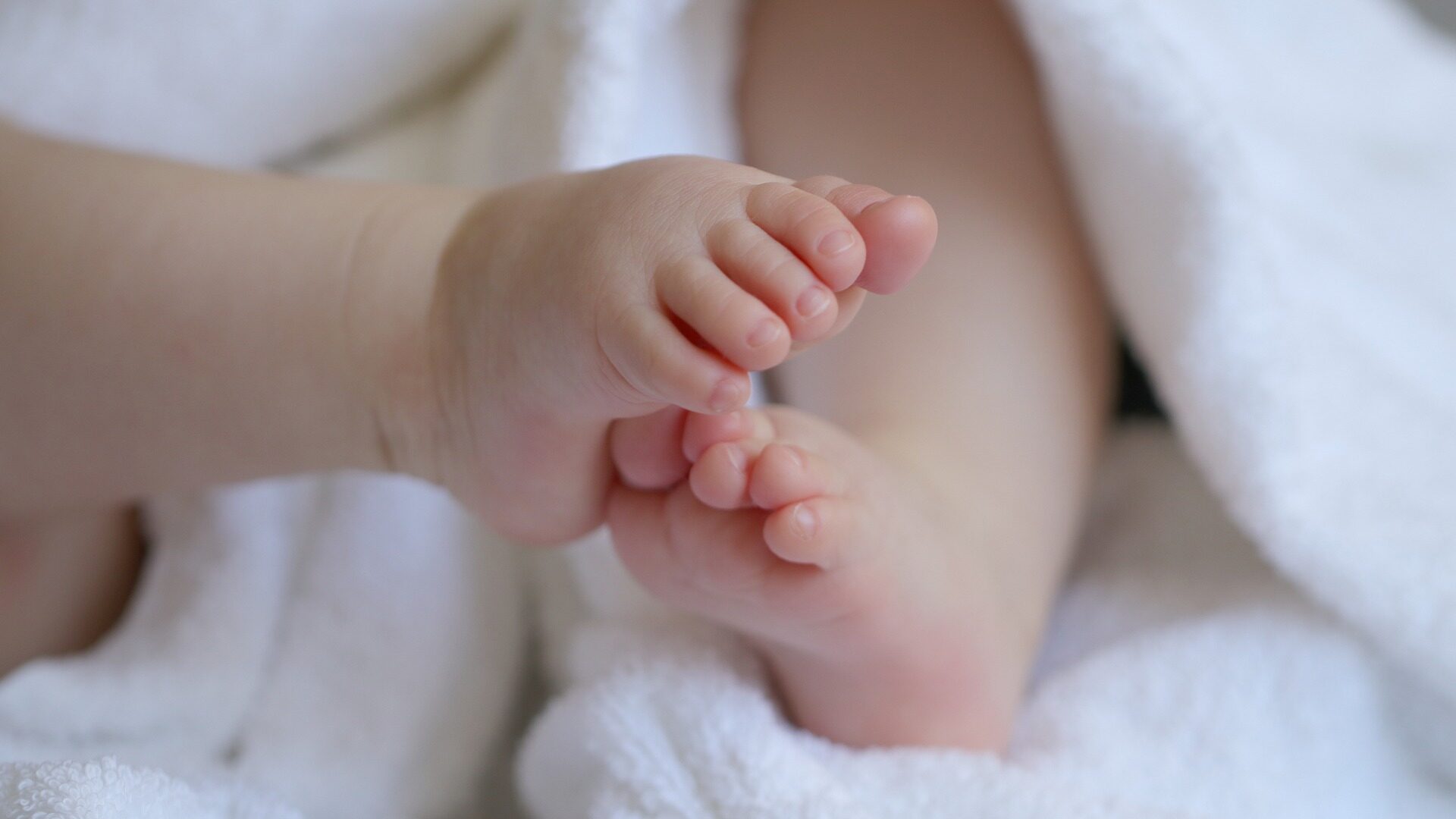 Handel mit Babies aus der Ukraine