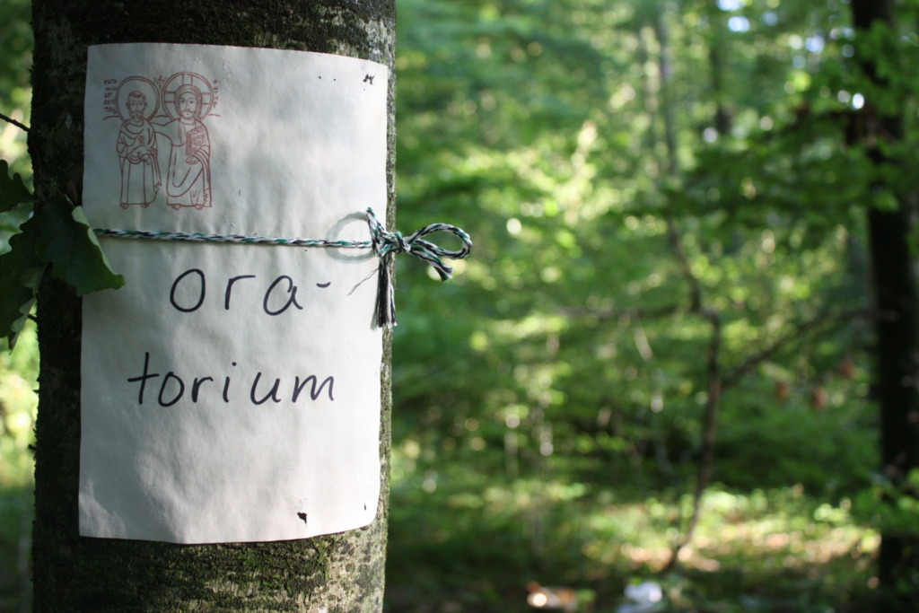 Im Waldkloster - Lichtblick Römisch-katholisches Pfarrblatt der Nordwestschweiz 8